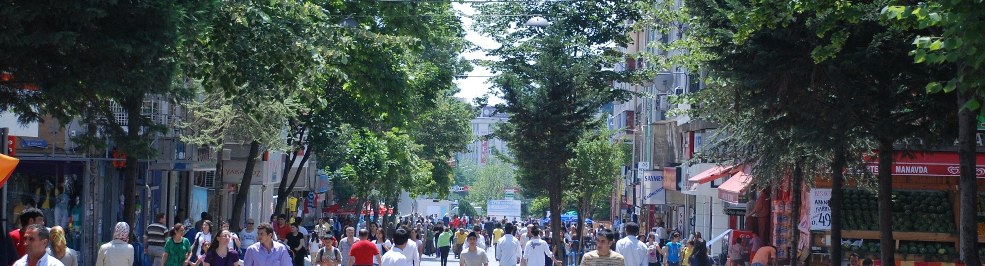 SÜTLÜCE DANIŞMA MECLİSİ GERÇEKLEŞTİRİLDİ